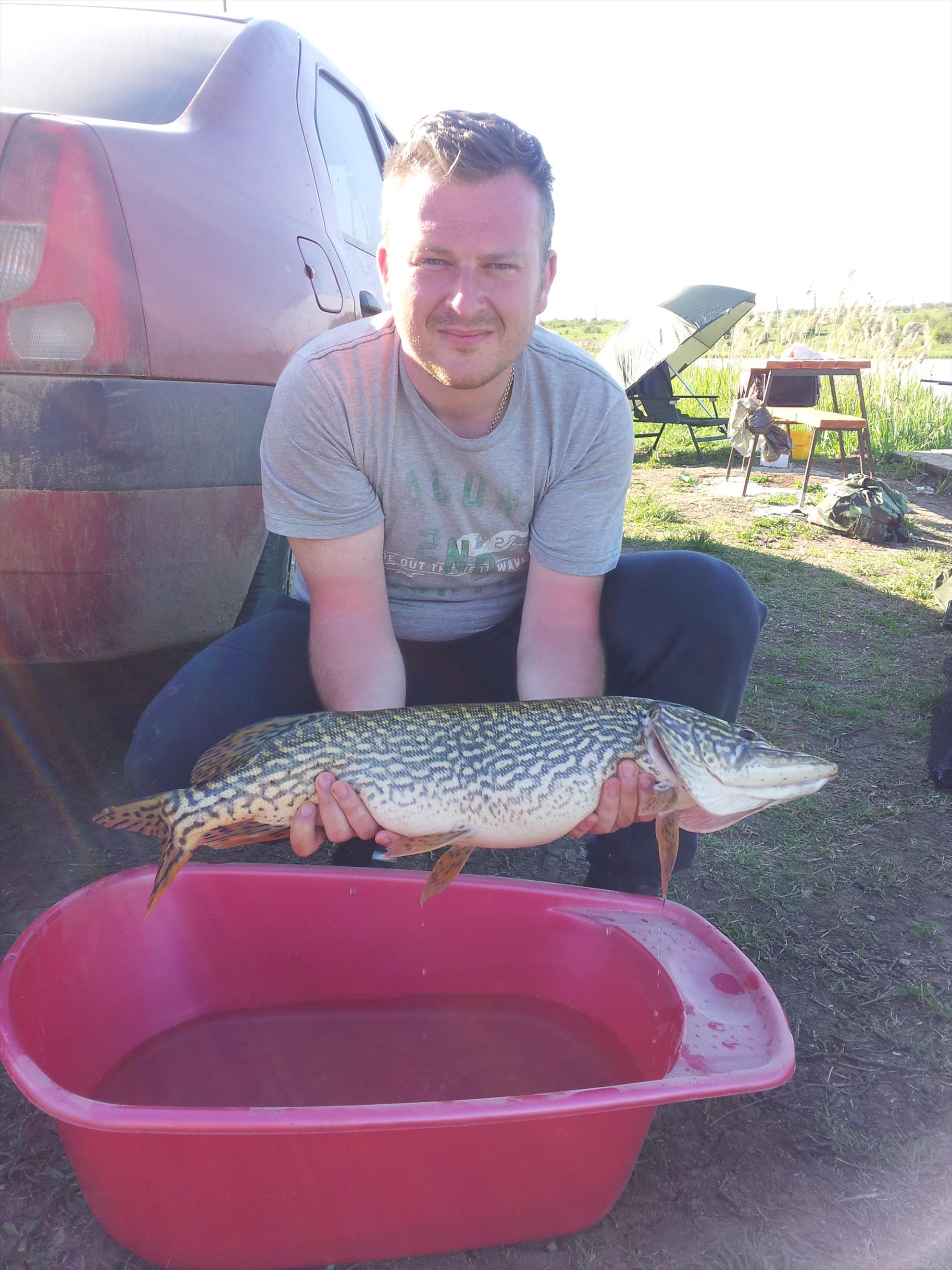 Poze peste . - 20130425172937.jpg